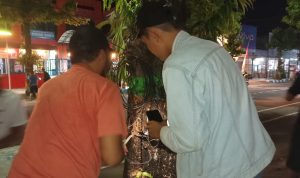 Aktivis Lingkungan saat cabut paku di salah satu pohon