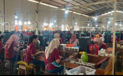 Ratusan pekerja di PR Mulia Agung Pacitan, masih tetap eksis meski dihempas badai krisis.
